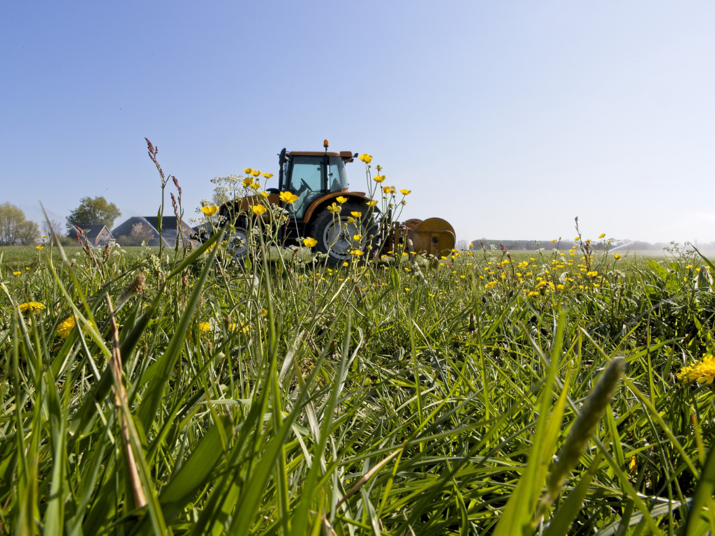 Blog | Boeren als sleutel in het herstel van biodiversiteit