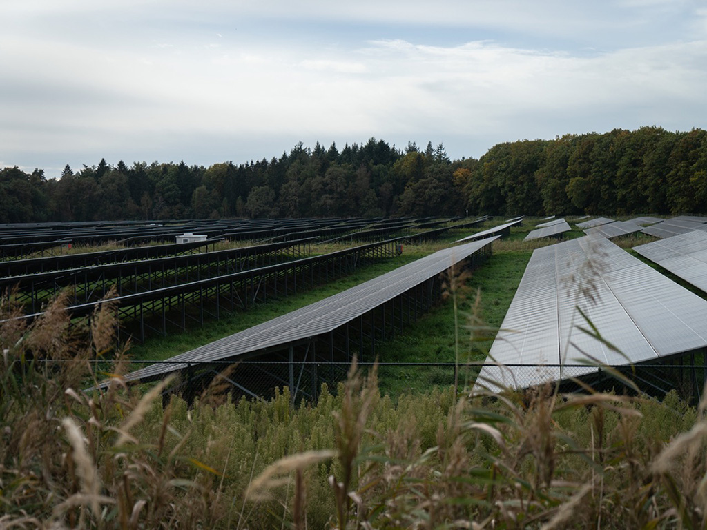 Brabant laat zien hoe het wél kan: op weg naar natuurinclusieve zonneparken