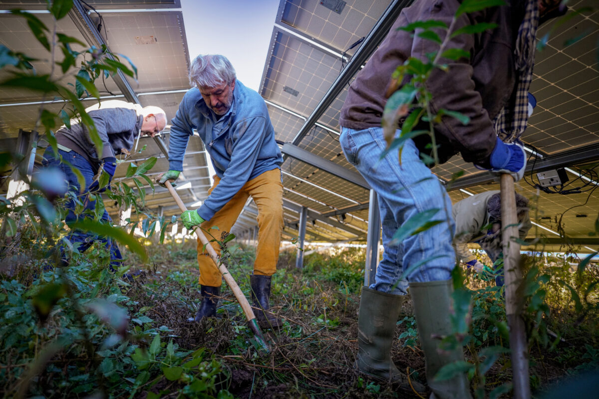 Natuur in de hoofdrol: hoe Groningen ecologie verankerde in de energietransitie