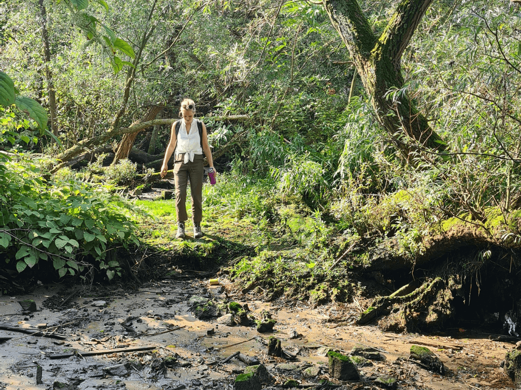 Terugblik online masterclass Nature-based Solutions