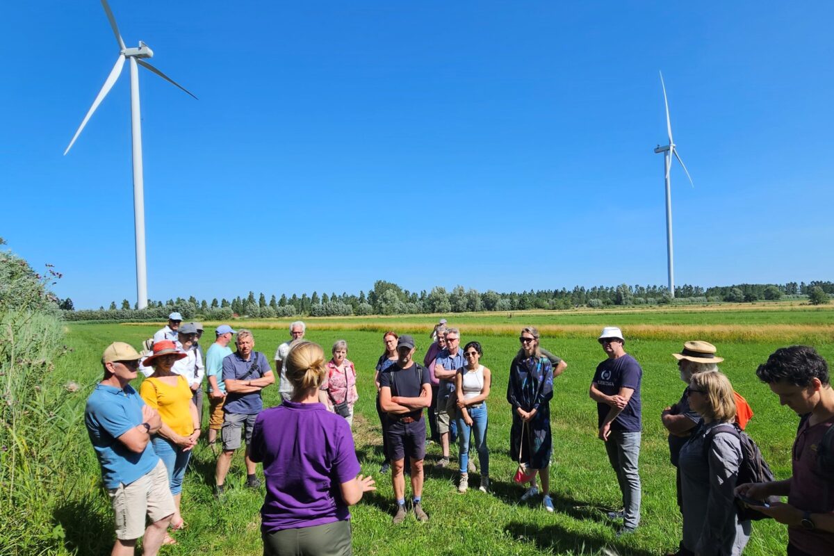 In Gelderland helpen energieboswachters bij balans tussen wind, zon en natuur