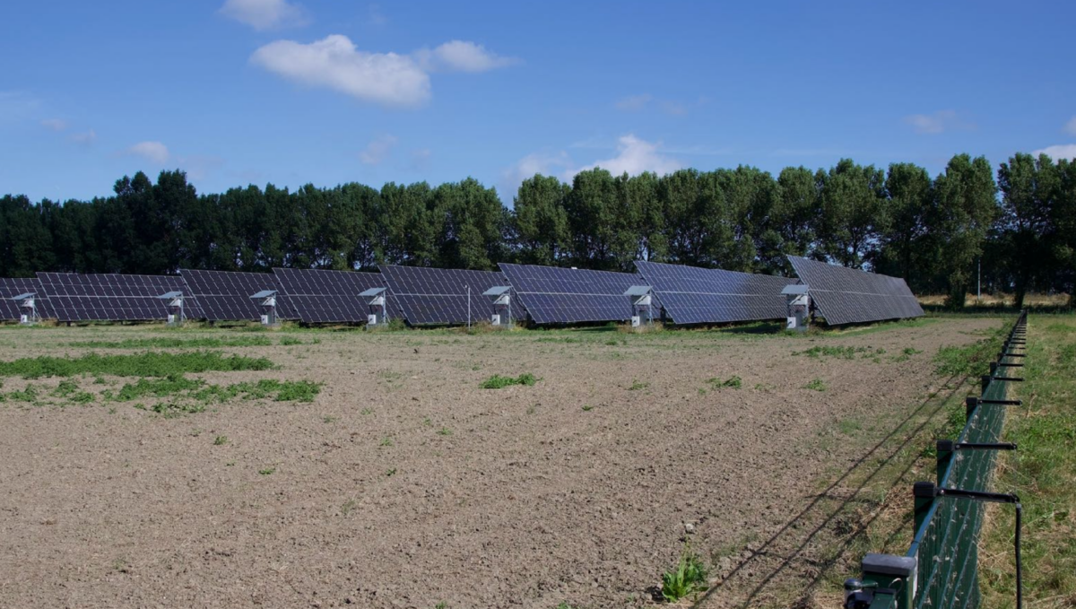 Boeren, zon en natuur: samen bouwen aan Agri-PV in Noord-Holland