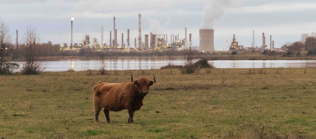 Schelde, Zeeland Foto Pierre-Eric Baumann
