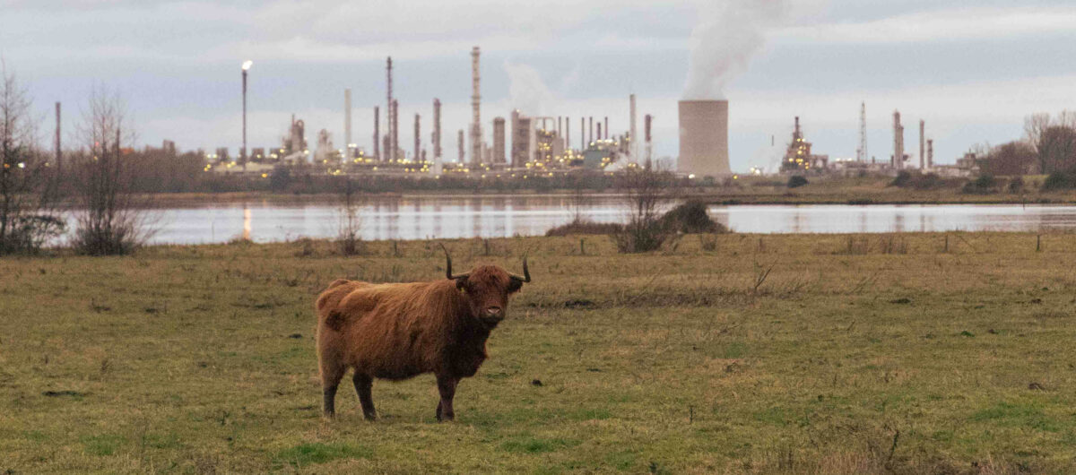 Rechtszaak: PFAS vervuiling moet direct stoppen