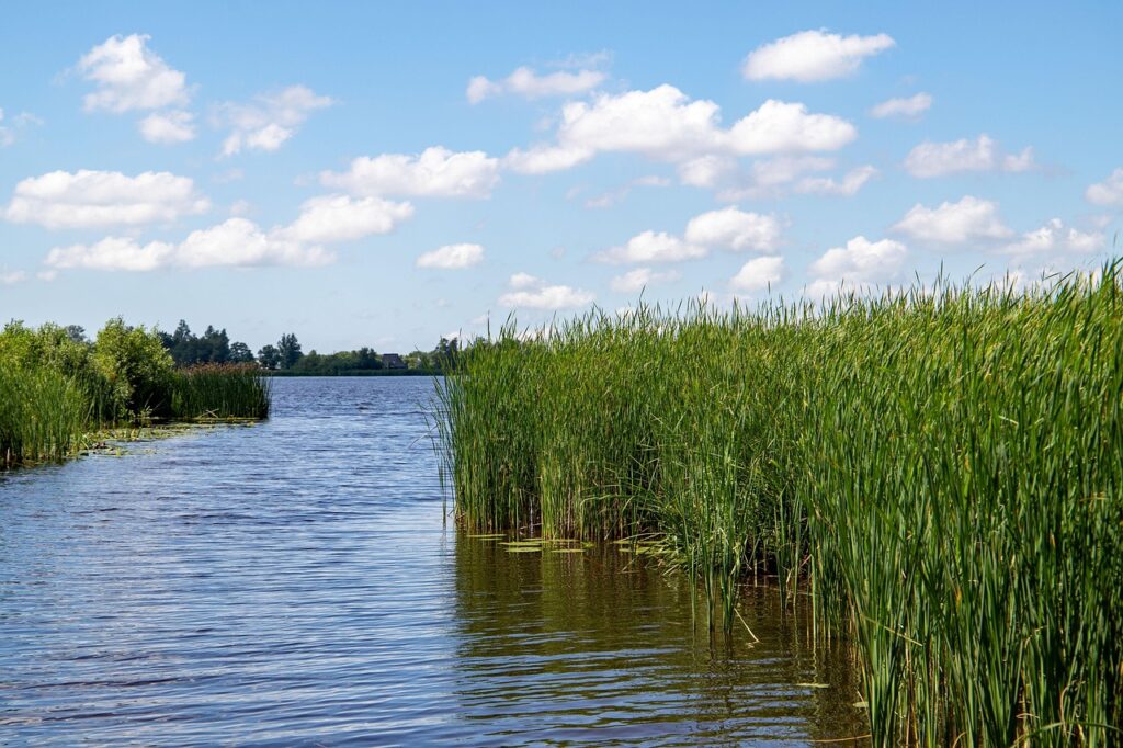Friesland – Waterkwaliteit onder druk